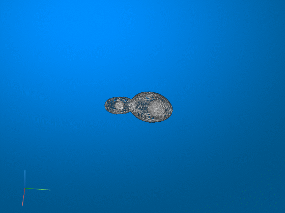 Project Animation